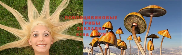 прущий лед Богородск