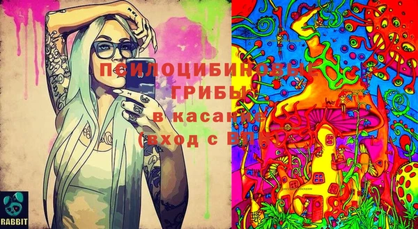 трава Белокуриха