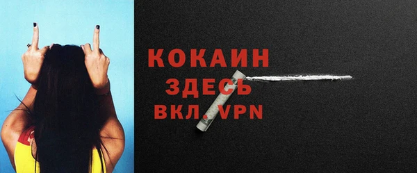 трава Белокуриха