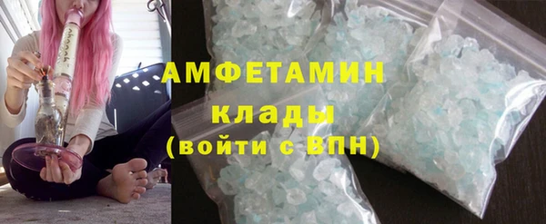 спиды Богородицк
