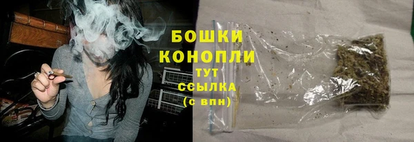трава Белокуриха