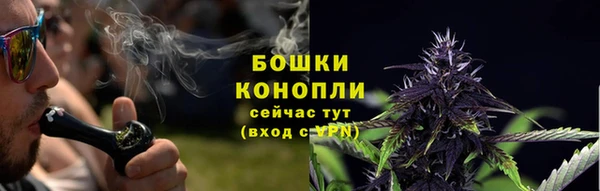ПСИЛОЦИБИНОВЫЕ ГРИБЫ Белоозёрский