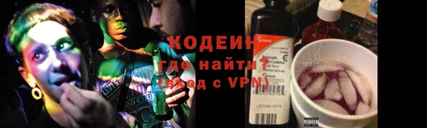 спиды Богородицк