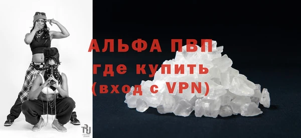 спиды Богородицк