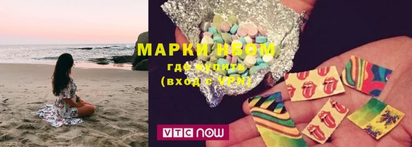трава Белокуриха