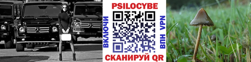 Галлюциногенные грибы Psilocybe  Болгар 